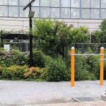 IMG_20260623_114901