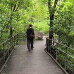 le parc