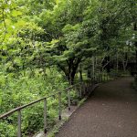 le parc