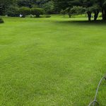 landscape garden