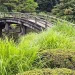 japanese traditional garden