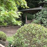 japanese traditional garden