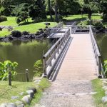 jardin hama-rikyu
pont