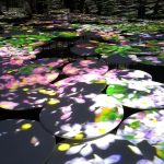 teamlab borderless